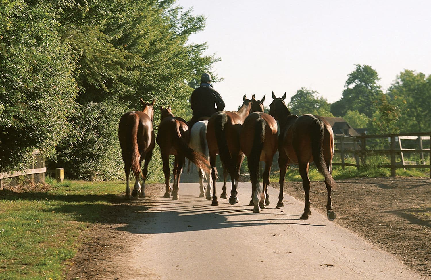 Stable signpost